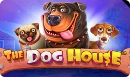 Spinando – The Dog House